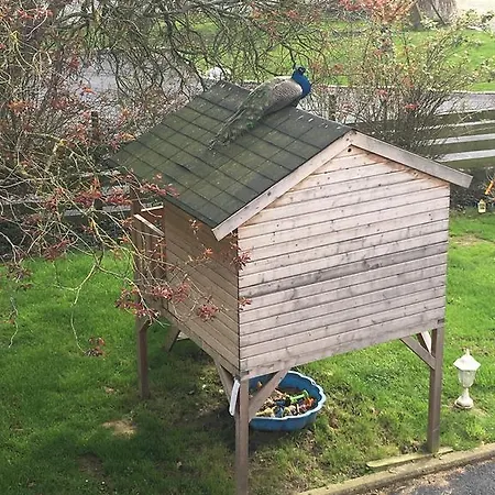 Frühstückspension Chambres D'hotes A La Ferme De La Rochelle Roz-Landrieux