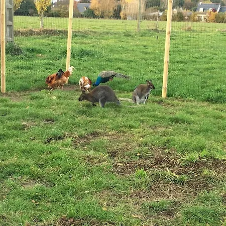 à La Ferme De La Rochelle
