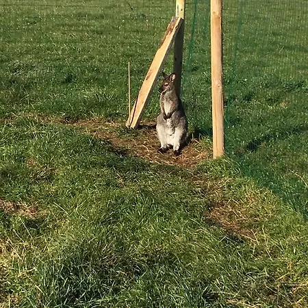 à La Ferme De La Rochelle