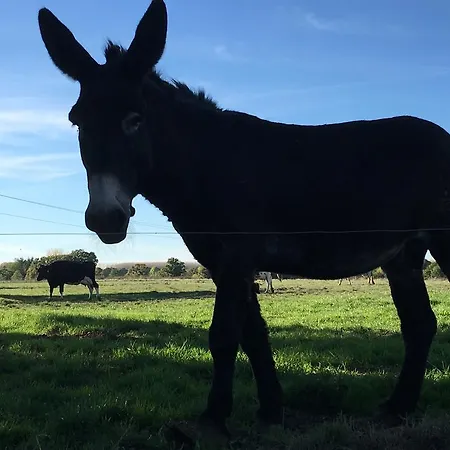 à La Ferme De La Rochelle Roz-Landrieux